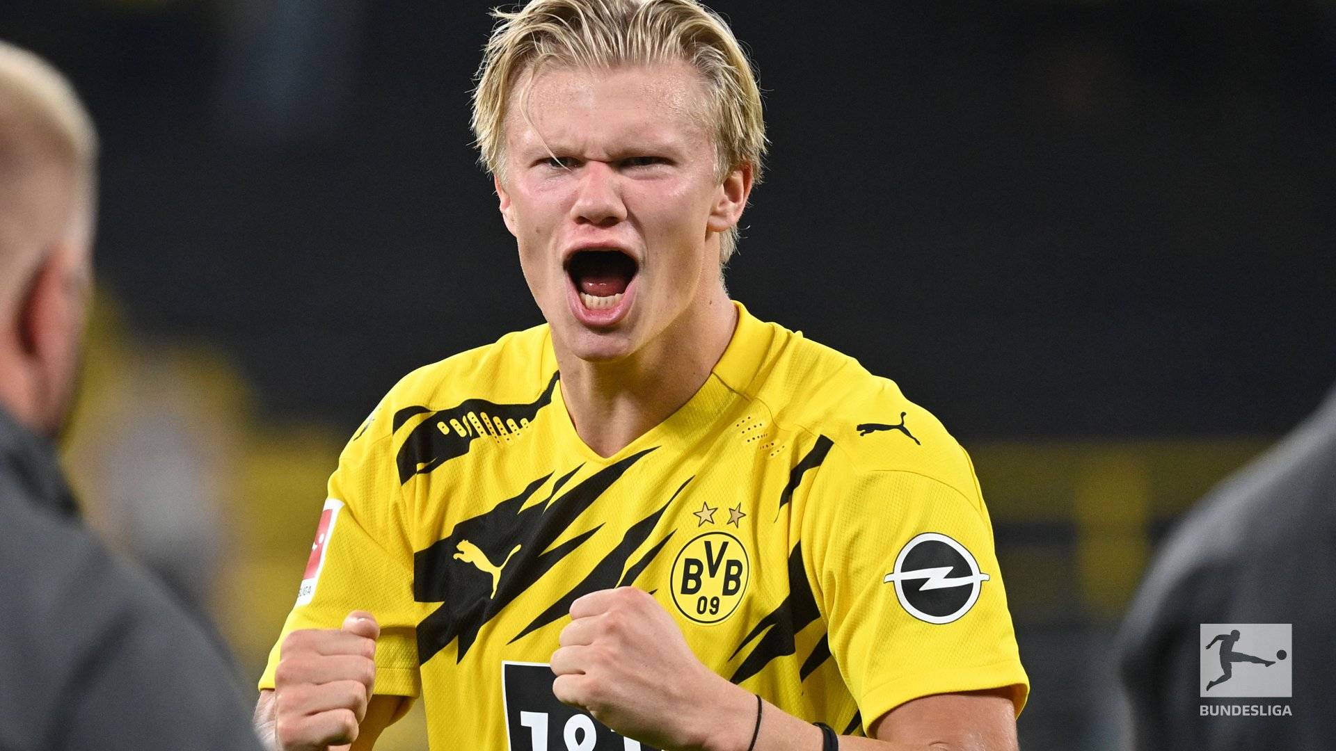 当团队增长 当团队增长