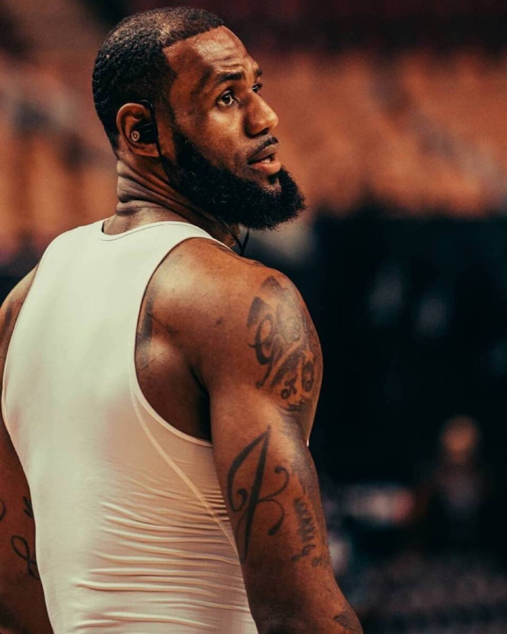 迅速夺回 迅速夺回